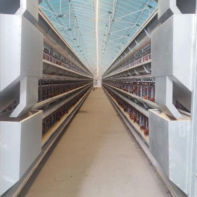 China Farms Hot Sale Chicken Layer Battery Cage Layers Cage for sale