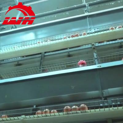 China Durable Farm Equipment Poultry Chicken Farm Animal Cages for sale