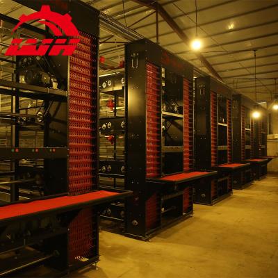 China Farms Best Design One Type Automatic Chicken Broiler Cage for sale