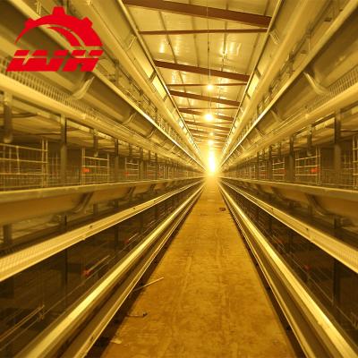 China Farms Broiler Farm Equipment Baby Chicken Cage System for sale