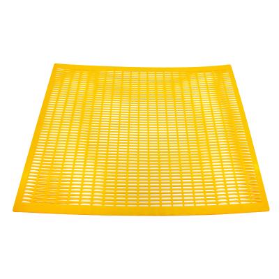 China Hive queen plastic excluder for sale