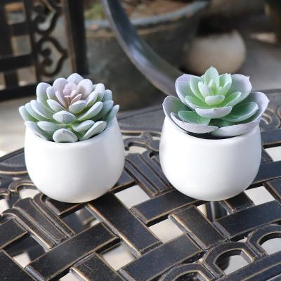 China Indoor Garden Environmental Friendly Decor Mini Succulent Cactus Plants Artificial Potted Succulents In Pots for sale