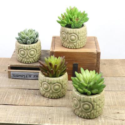 China Environmental Friendly Artificial Plastic Decoration Mini Succulent Plants Bonsai Plant Plants With Ceramic Pots for sale