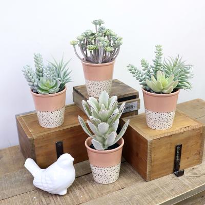 China Artificial Potted Succulent Plants High Quality Home Decor Environment Friendly Ceramic Mini Pot for sale