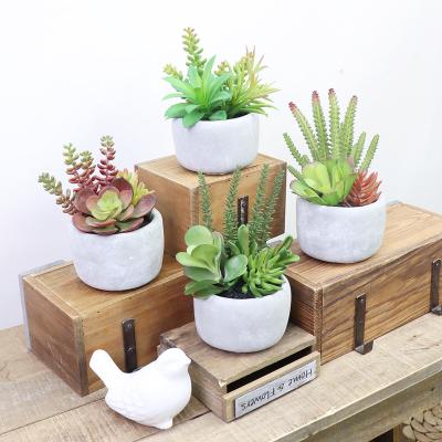 China Eco-Friendly Succulent Realistic Desktop Faux Plastic Green Succulent Plants Bonsai Plants In Ceramic Pot for sale