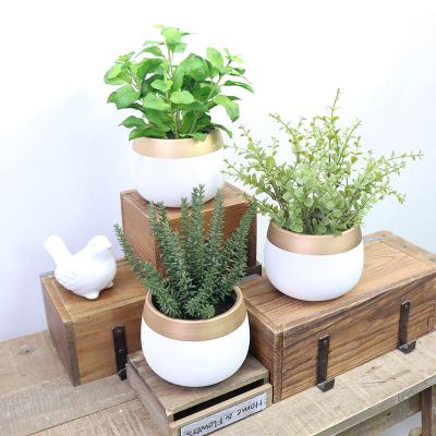 China Customized artificial plastic eucalyptus wholesale indoor decoration environment friendly with ceramic pot for sale