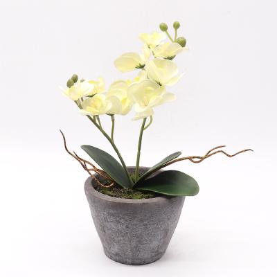 China Fashional Artificial Flowers Shape Artificial White Flowers Artificial Phalaenopsis Orchid Plant Ceramic Pot for sale