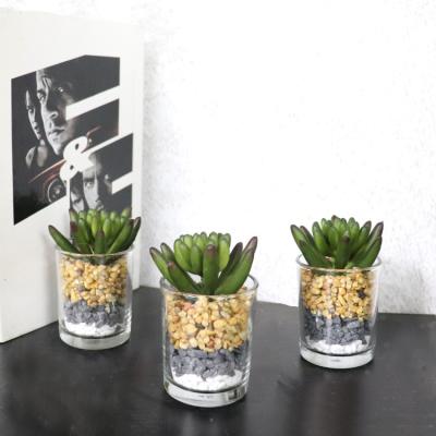 China Mini Plant Mini Artificial Plant in Glass Vase with Real Stone Real Touch Small Artificial Succulents for sale