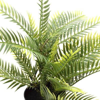 China High Level Simulation Palm Tree Artificial Green Plant In Plastic Pot For Decor Home Garden Ornaments Palm Tree for sale