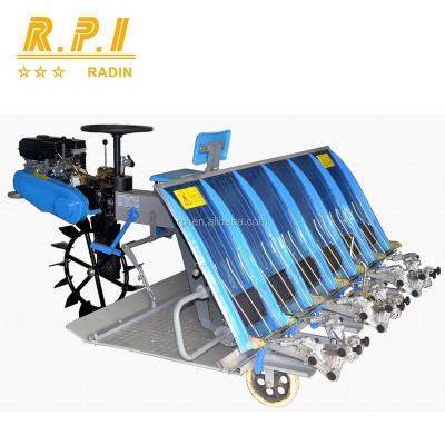 China Motorized Farm Rice Planter Gasoline 6 Row Rice Transplanter (Riding Type) for sale