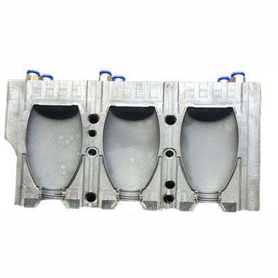 China New Container Shampoo Moulding Machine Plastic Injection Mold Hdpe Blowing Bottle Mould for sale