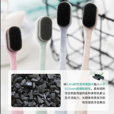 China 202 Handbook Hot Sale In China Healthy Reduce Growthcharcoal Bacterial Hairs For Toothbrush for sale