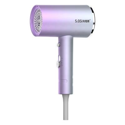 China Other Amazon Hot Sales Popular Blow Leafless Dryer Sets Two Speed ​​Electric Hair Dryer Hair Dryer for sale