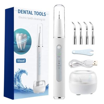 China Teeth Whitening Portable Teeth Whitening Kits Handheld Tooth Remover Tartar Calculus Remove Ultrasonic Dental Scaler for sale