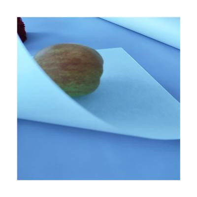 China Custom Eco Biodegradable Burger Sandwich Kitchen Liner Paper Food Wrapping Paper for sale