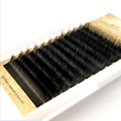 China Delicate Double Layers Lashes Super Soft Volume Eyelash Extension for sale