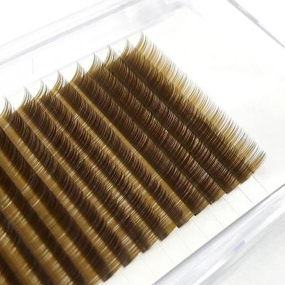 China Gently Clean Logo Fashion Brown Colored Eyelash Korea Premium Quality Brown Color Camellia Eyelash Extensions for sale