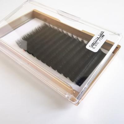 China Factory Wholesale New Thick Soft OEM Supply Custom Wrapping Faux Silk Mink Eyelash Lashes 3D Extension for sale