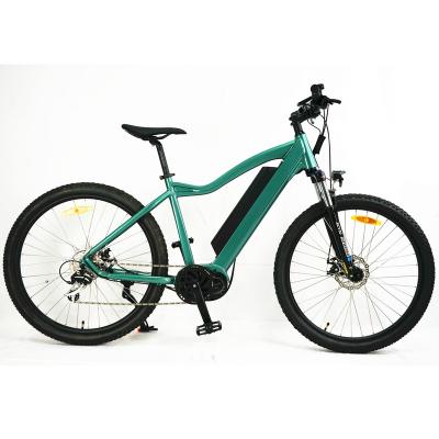 China OEM Standard Mountain Stopper ERide, Electric Hybrid Bike for sale