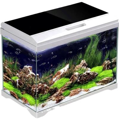 China Professional Best Selling Viable Aquarium Tank Fish Glass for sale