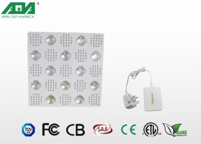 중국 빨간 지도된 와이파이 통제 2500w와 파랗은 똑똑한 지도한 Hydroponic 빛을 성장하는 빛 옥수수 속을 성장합니다 판매용