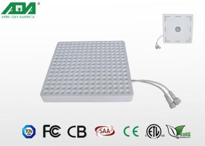 Cina La luce crescente completa di spettro LED di DC32-45V/ha condotto la luce progressiva idroponica in vendita