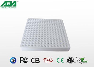 China espectro completo LED de 45W 50W que crece ligero para Warehouse, sistema hidropónico en venta