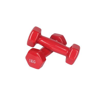 China Durable Hot Selling Durable PVC Dipping Vinyl Dumbbells 10kg Neoprene Dumbbells For Weightlifting for sale