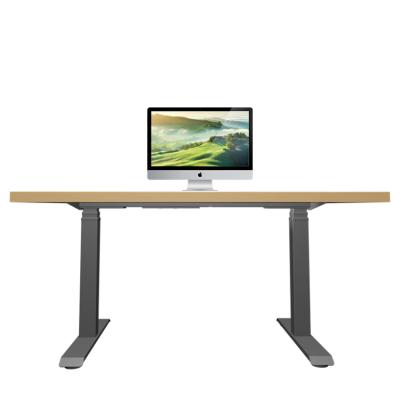 China Collision Metal Office Building Electric Adjustable Desk (Height) Motor Adjustable Modern Dual Height Desk for sale