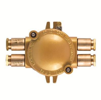 China Good Quality Brass Marine Explosion Proof Junction Box DCJXH Series for sale