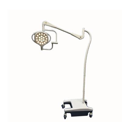 China Factory supply metal/steel/plastic professional/accurate mobile examination light for hospital for sale