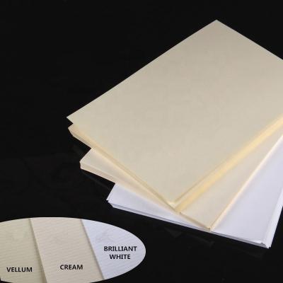 China Recycled Materials Conqueror Paper For Printing Label Sticker for sale