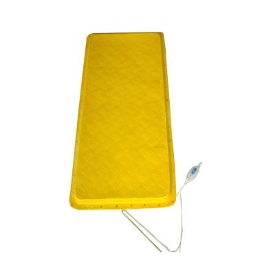 China Heat Preservation Water Resistant Electric Pig Farm Heating Pad Anti-Corrosion Plate for sale