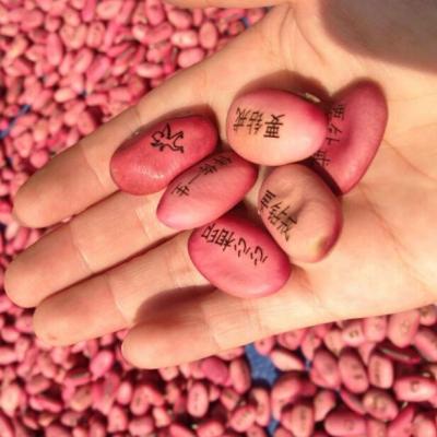 China Sample free red magic beans from Europe for sale