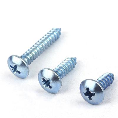 China Pan M2 M3 M5 M6 M8 M10 2mm Cross Recessed Stainless Steel SS304 316 Self Tapping Phillips Pan Head Tapping Screws For Plastics for sale