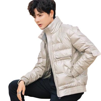 China Plus Size Down Jacket Men's Winter New Style Men's Korean Fashionable Comic Collar Thick Loose Short Jacket for sale