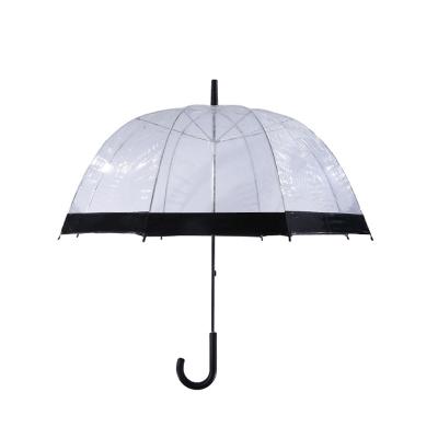 China Minimalist innovative transparent 23 inch PVC fabric umbrella with steel frame for added safety for sale