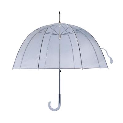 China Minimalist Customized Transparent Logo 25 Inch Aluminum Ribs 8 Axle Umbrella With Fiber Ribs for sale