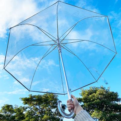 China 2022 Minimalist 2022 Straight Automatic Open Bubble Poe Clear Bubble J Handle Umbrella Clear Dome for sale