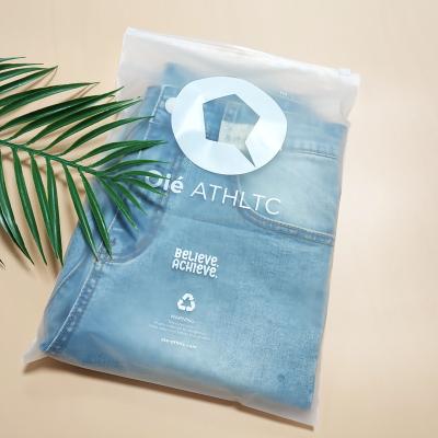 China Recyclable Custom Matte / Frosted Biodegradable Plastic Packaging Zipper Bags T Shirt Swimwear Zipper Lock Clothing Bags With Logo for sale