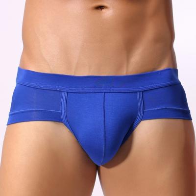 China Antibacterial Customize Plain Color Comfortable Men Briefs Men Underwear M-3XL Hot Selling Variety Of Colors Choose Modal Elastic Brief for sale