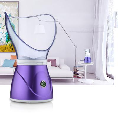 China Beiyuan DEEP CLEANSING Warm Mist Moisturizing Pores Facial Steamer Sprayer Face Humidifier Cleansing Facial Steamer for sale