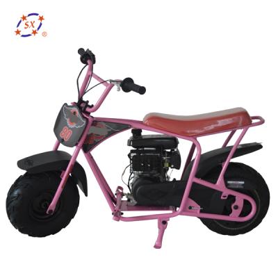 China 80CC 4 Wheel Race 2 Mini Bike for Kids&Adult FSD80P for sale