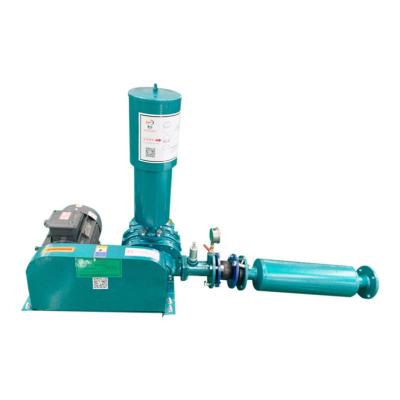 China Hot Selling Three Lobe Root Blower 1hp Blower Roots High Pressure Blower For Fish Farm for sale