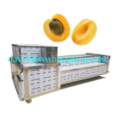 China Cherry Pitting Machine Olive Pit Remove Hawthorn Easy Operation Apricot Machine Fishing Machine for sale