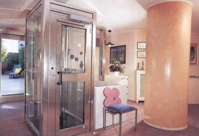 China Home Elevator Lift with flexible decoration series machine room less for sale