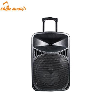 China 12 Inch Active DJ Speaker Large Cabinet Good No Bass Powered Portable Audio Player for sale