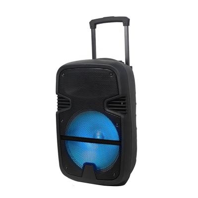 China EZCast Portable Subwoofer Speaker Cart Wireless Outdoor Speaker with Microphone Radio for sale