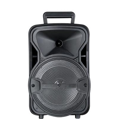 China No Classic Trolley Audio Speaker Model 8 Inch Speaker With Smart Lamp Woofer Speaker For Outdoor for sale