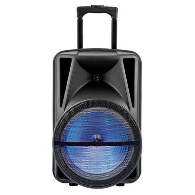 China 12 Inch Trolley Audio Speaker Portable Wireless Speaker With USB BT for sale